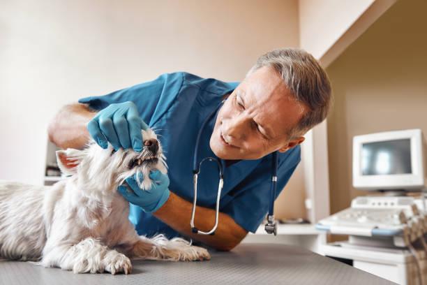 Best Emergency Dental Care for Trauma or Injury in Wildwood Crest, NJ